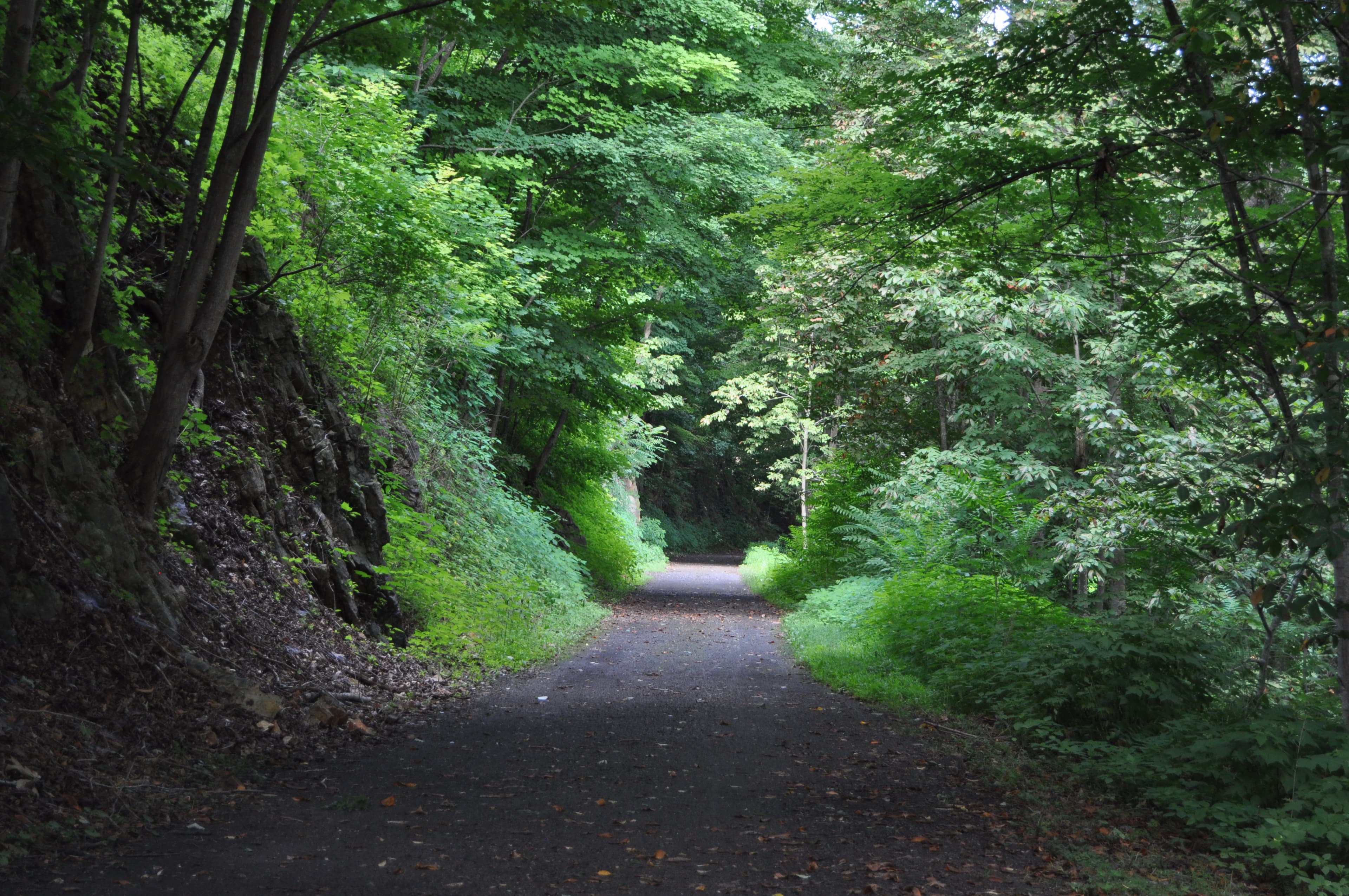 Riders on the New River Trail